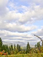 Pedagrafie Fotografie Bayrischer Wald