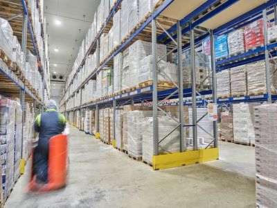 Pedagrafie Fotografie Brummer Logistik