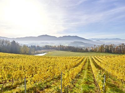 Pedagrafie Fotografie Hotel Weingut Taggenbrunn