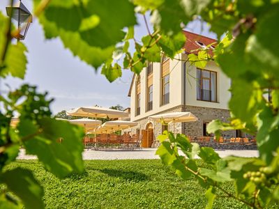 Pedagrafie Fotografie Hotel Weingut Taggenbrunn