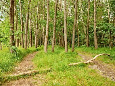 Pedagrafie Fotografie Bayrischer Wald