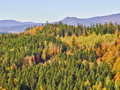 Pedagrafie Fotografie Bayrischer Wald