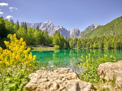 Pedagrafie Fotografie Lago di Fusine