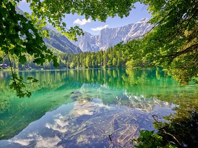 Pedagrafie Fotografie Lago di Fusine