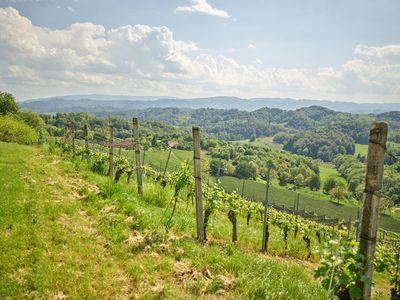 Pedagrafie Landschaftsbilder Steiermark