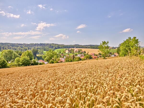 Pedagrafie Fotografie Bad Griesbach