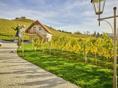 Pedagrafie Fotografie Hotel Weingut Taggenbrunn