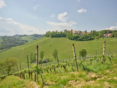 Pedagrafie Landschaftsbilder Steiermark