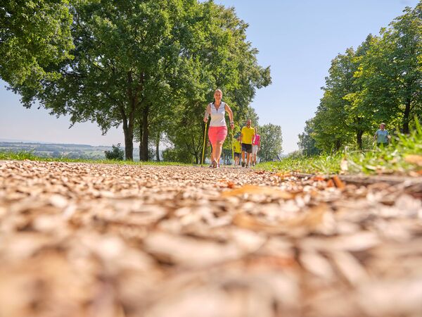 /assets/images/3/pedagrafie-fotografie-bad-griesbach-98-c8vtcr35yjb7v6h.jpg