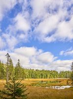 Pedagrafie Fotografie Bayrischer Wald