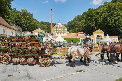 Pedagrafie Fotografie Brauerei Hacklberg