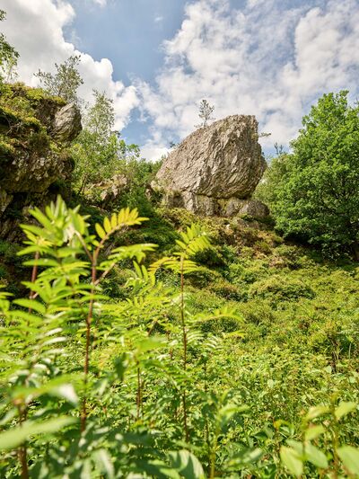 /assets/images/4/pedagrafie-fotografie-bayrischer_wald_01-aahzf599vfcsbpt.jpg