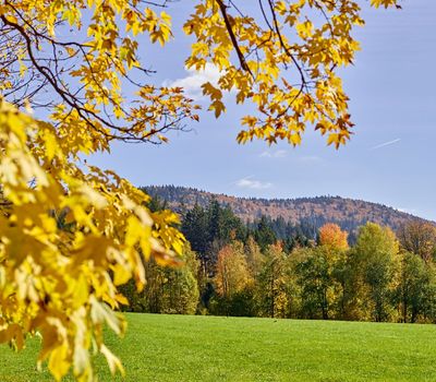 Pedagrafie Fotografie Bayrischer Wald