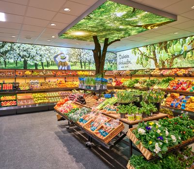 Pedagrafie Fotografie Edeka Hehenberger