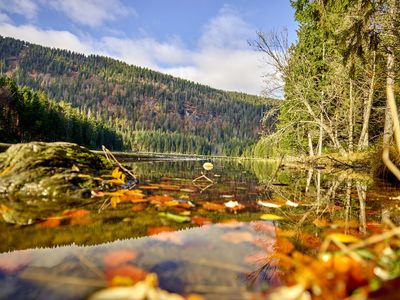 Pedagrafie Fotografie Bayrischer Wald