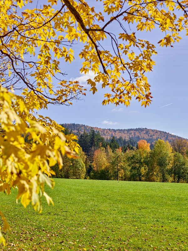 Pedagrafie Fotografie Bayrischer Wald