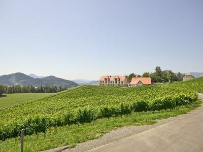 Pedagrafie Fotografie Hotel Weingut Taggenbrunn