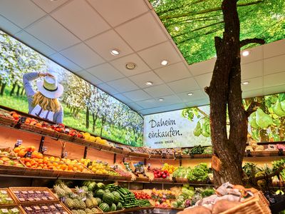 Pedagrafie Fotografie Edeka Hehenberger