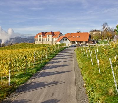 Pedagrafie Fotografie Hotel Weingut Taggenbrunn