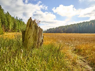 Pedagrafie Fotografie Bayrischer Wald