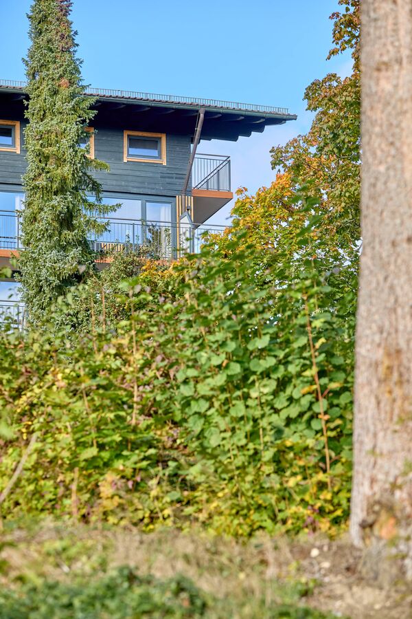 /assets/images/c/pedagrafie-fotografie-dreiburgensee-02-yh22x9427psz56y.jpg