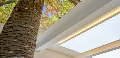 /assets/images/d/CF035910-caf3bd5e.jpg