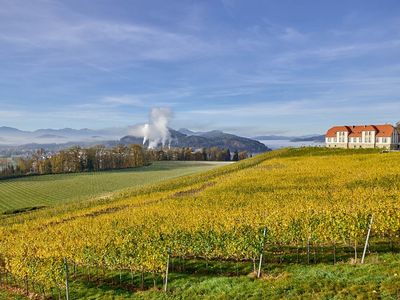 Pedagrafie Fotografie Hotel Weingut Taggenbrunn