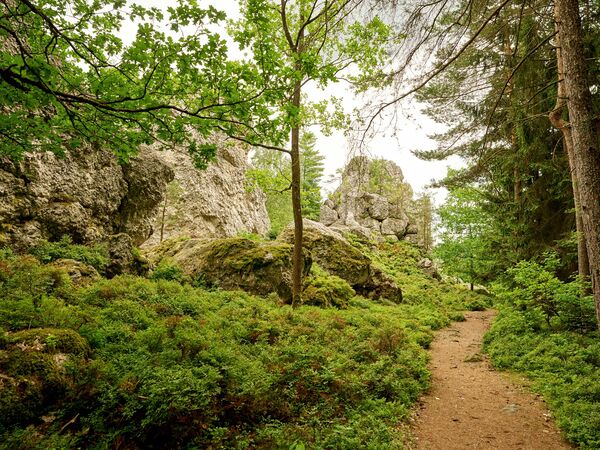 Pedagrafie Fotografie Bayrischer Wald