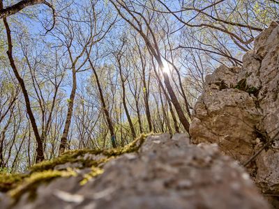 Pedagrafie Landschaftsbilder Slowenien Italien