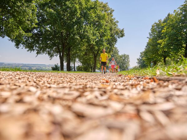 /assets/images/f/pedagrafie-fotografie-bad-griesbach-97-5d1xn3m55xgehr9.jpg