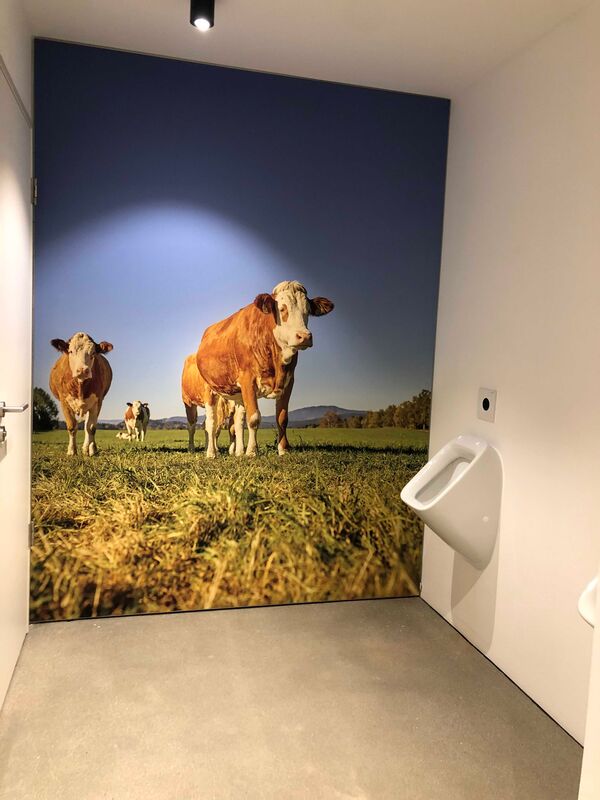 /assets/images/j/IMG_5888_web-whm6477sb4pdgt5.jpg