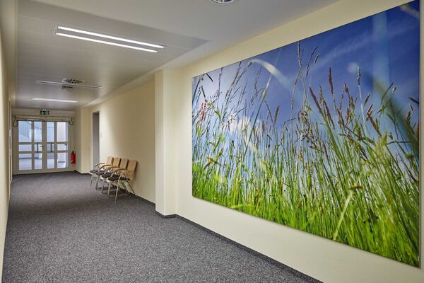 /assets/images/k/pedagrafie-grossformatdrucke-klinikum-passau-09-nzr9nzk5t2st4vh.jpg