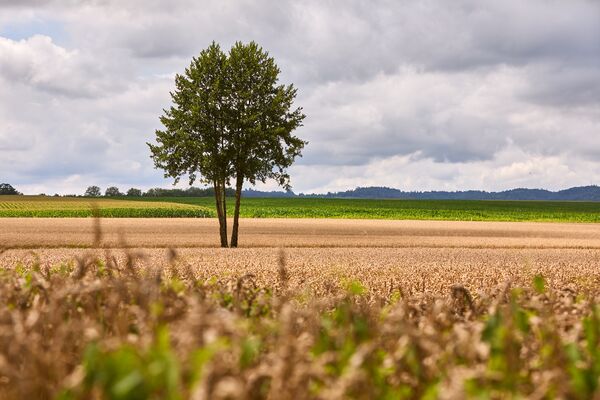 /assets/images/t/pedagrafie-fotografie-ile-winklhofers-hofladen-02-hq0fwwmh8nw7jp3.jpg