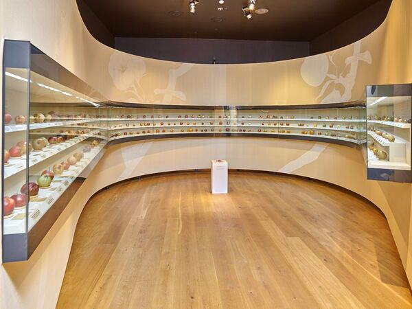 /assets/images/v/stift-admont-sonderausstellung-loewe-aepfel-6cznzjg7qewsvxg.jpg