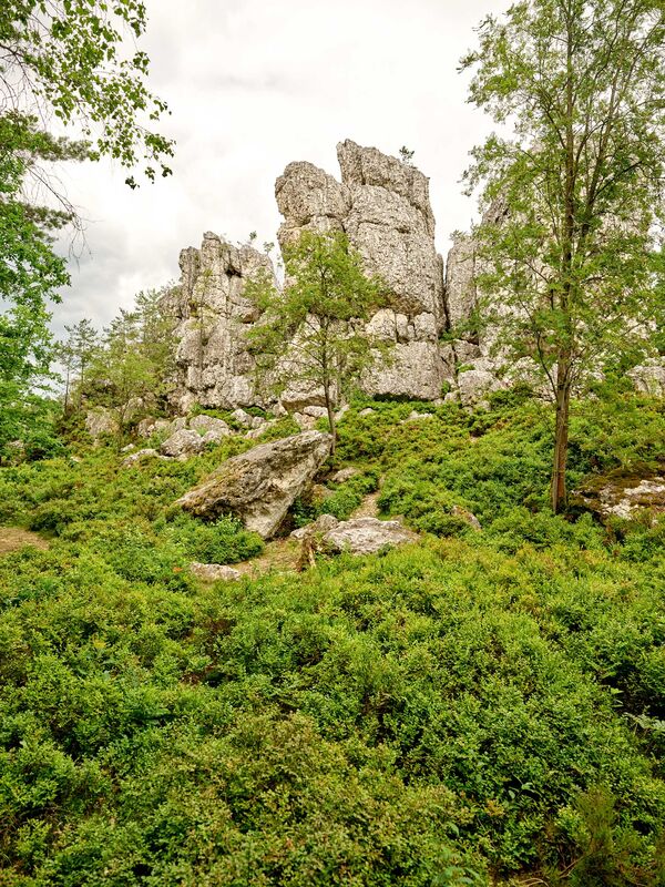 /assets/images/z/pedagrafie-fotografie-bayrischer_wald_02-n96vpbp8kjg2v2n.jpg